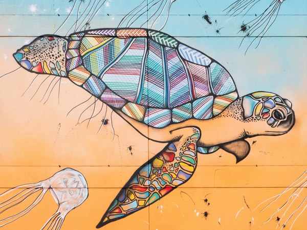 Darwin Street Art NT