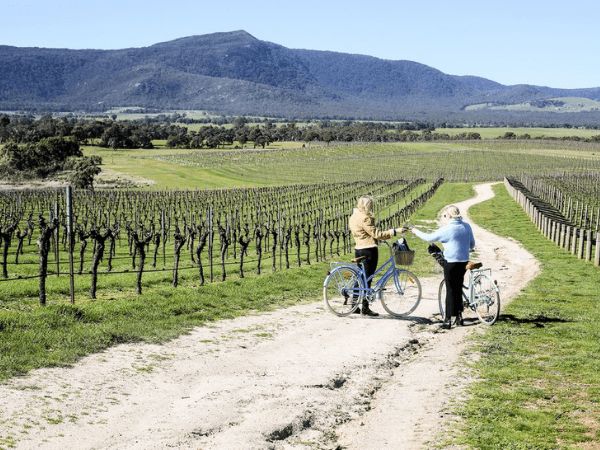 Heritage Estate Wines, Granite Belt