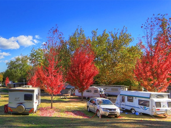Beechworth Sambell Park 