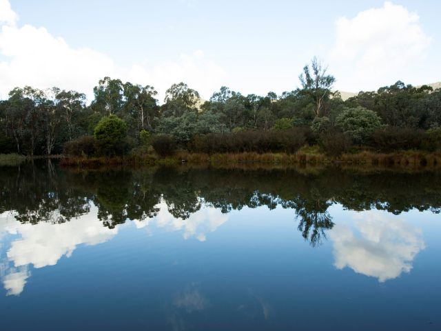 the Tidbinbilla Nature Reserve, Canberra