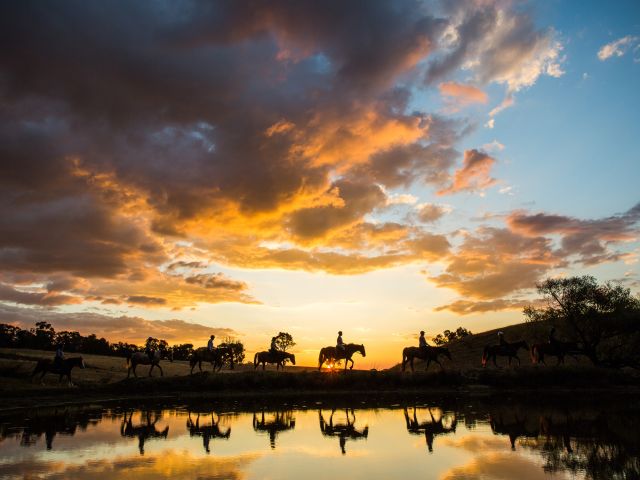 horseriding with Burnelee Excursions