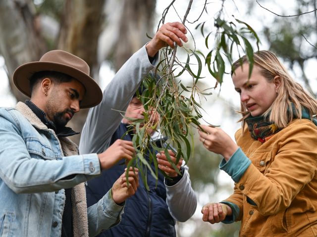 a Dhawura Tour with Aboriginal guides