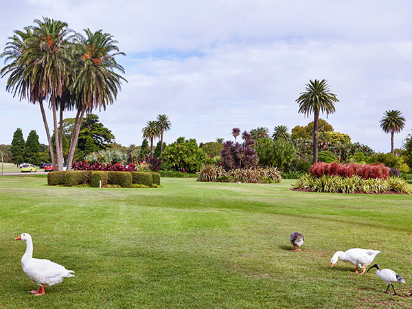 Centennial Parklands in Sydney
