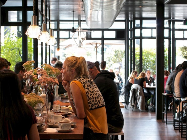 Dine at Top Paddock with kids