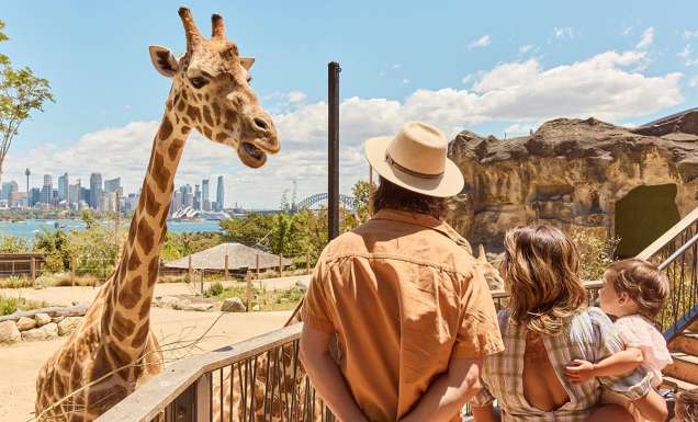 The ultimate Sydney itinerary for families