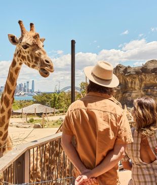 <p><i>The ultimate</i> <strong>Sydney</strong> itinerary for families</p>
