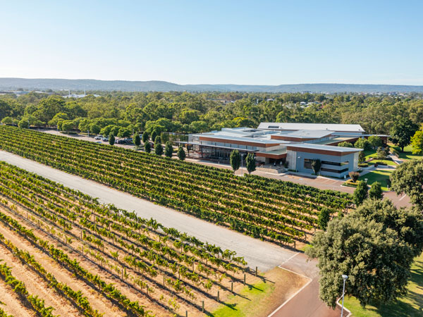 lush greenery at Mandoon Estate, Perth