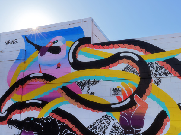 street art in Darwin CBD