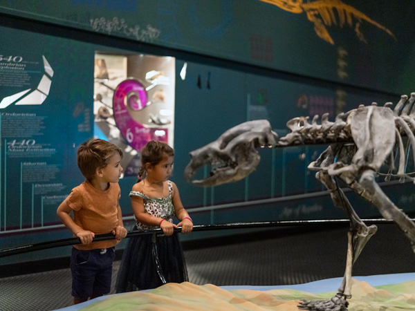 two kids admiring a fossil display at MAGNT, Darwin