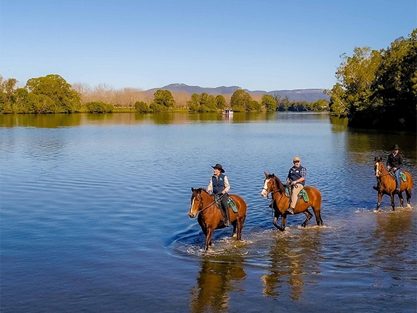 Hastings River Horse Riding