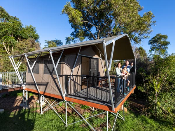a tree-top accommodation at O’Reilly’s