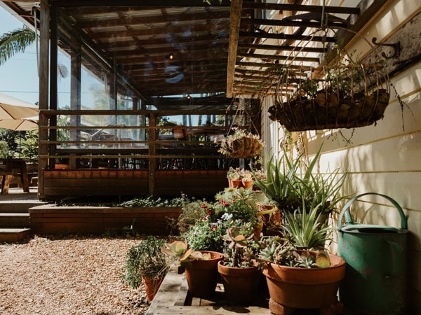 a lush garden setting at Federal Doma Cafe, Byron Bay