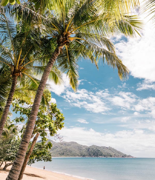 a palm-fringed shore at Horseshoe Bay