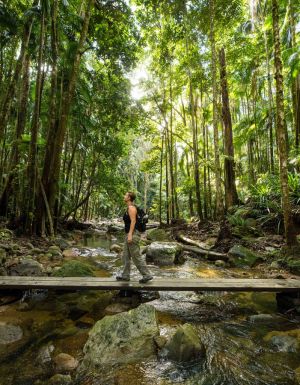 The best Byron Bay walks and hikes to go on this summer