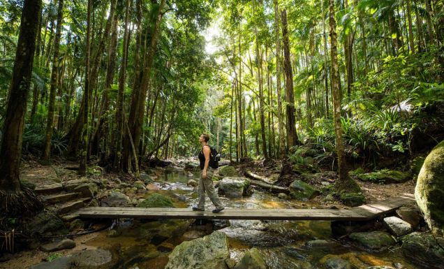 The best Byron Bay walks and hikes to go on this summer