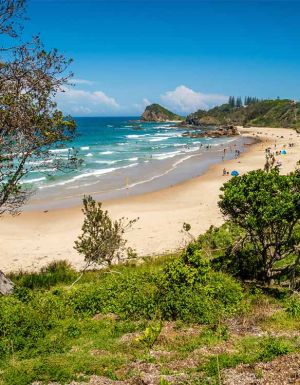 Port Macquarie swimming