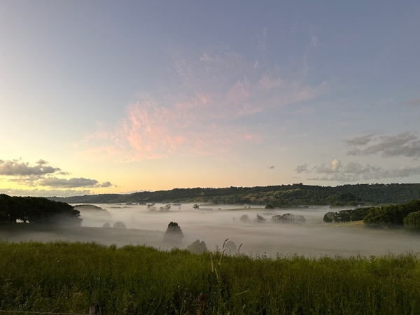 a foggy morning at Selva Byron