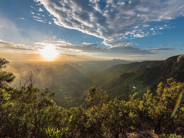 Lamington National Park’s subtropical rainforest.