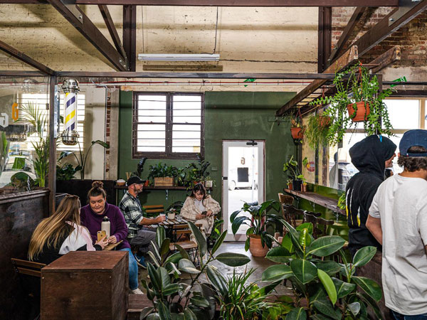 lush greenery around Shep St Sandos cafe in Ballarat