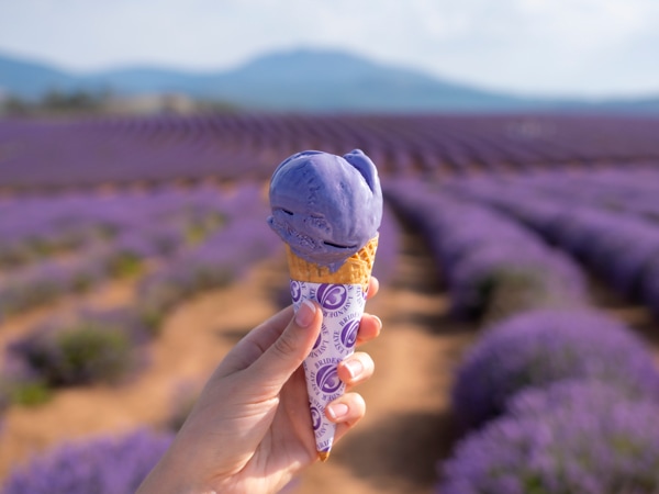 a hand holding Bridestowe's famous lavender ice cream