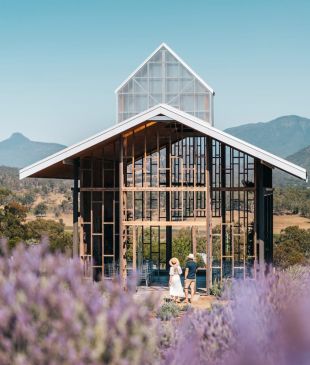 <p><i>The most beautiful</i> lavender farms around <strong>Australia</strong></p>
