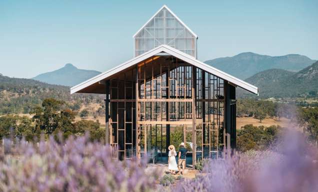 The most beautiful lavender farms around Australia