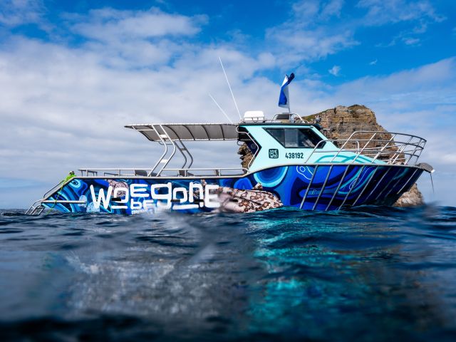 the Woebegone Dive cruise in Jervis Bay
