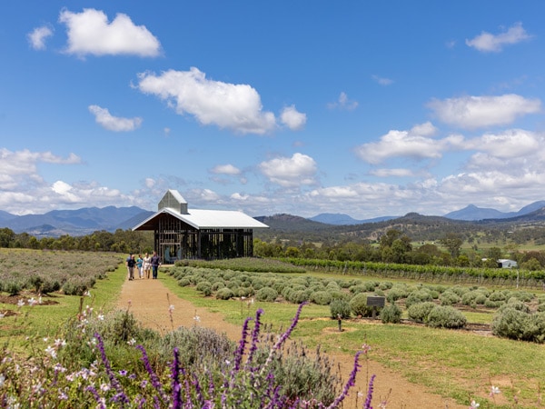 a distant view of the chapel at Kooroomba Vineyards and Lavender Farm, Qld