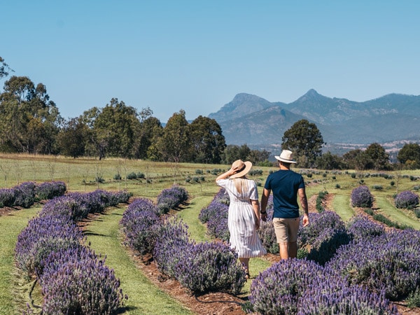 a couple strolling around Kooroomba Vineyards and Lavender Farm, Qld