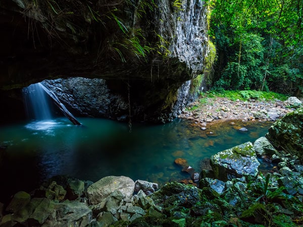 a cold spring at Natural Bridge Springbrook National Park