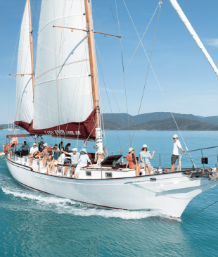 <p><i>11 of the best things to do</i> in <strong>Airlie Beach</strong></p>
