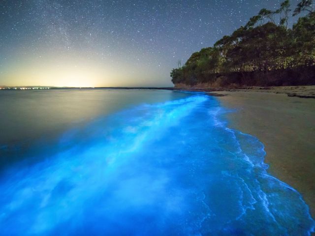 Bioluminescent algae seen at Plantation Point, Vincentia in Jervis Bay