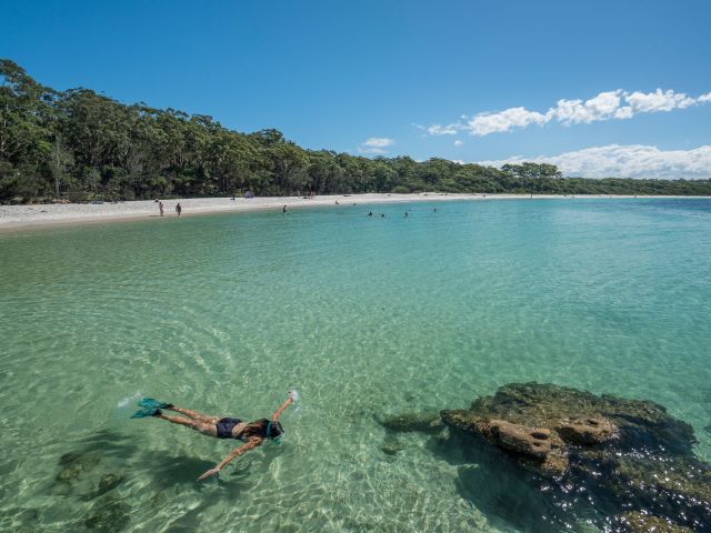 a woman snorkelling in the clear waters of Greenpatch, Jervis Bay