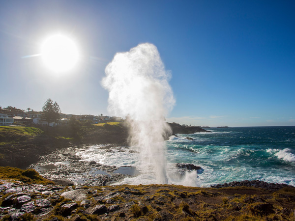 water plume spouting from the Kiama blowhole