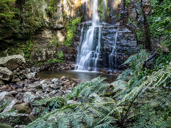 the scenic Minnamurra Falls in Jamberoo