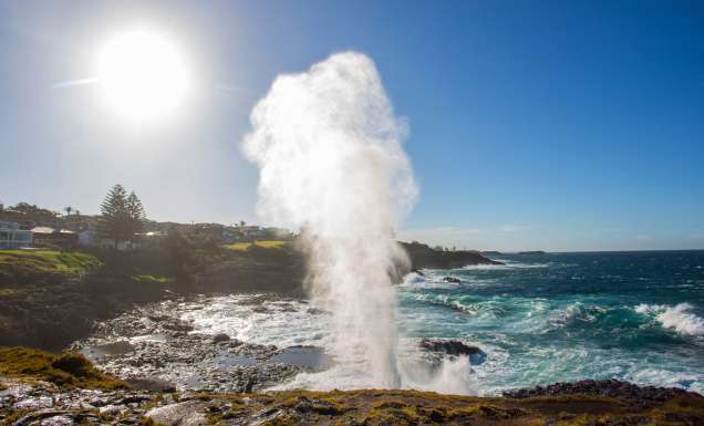 water plume spouting from the Kiama blowhole