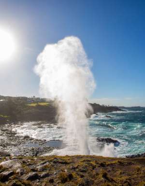 water plume spouting from the Kiama blowhole