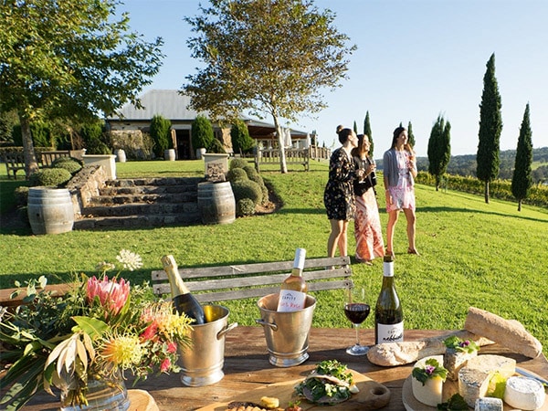 Cupitts Estate picnic