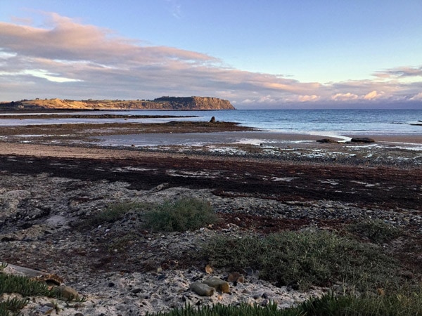 Coastal Pods location