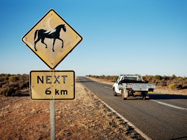 Country roads to Trilby Station
