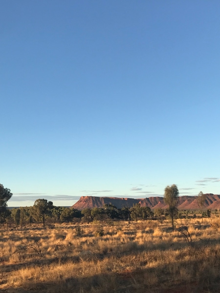 Kings Canyon landscape