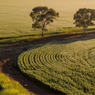 Clare Valley