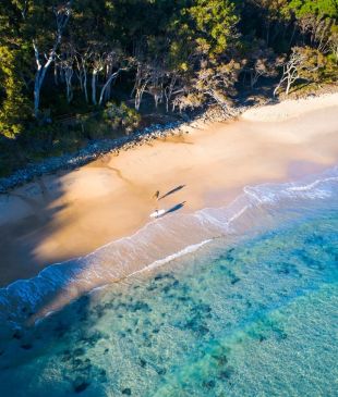 <p><i>A guide to visiting</i> <strong>Noosa</strong> National Park and surrounds</p>
