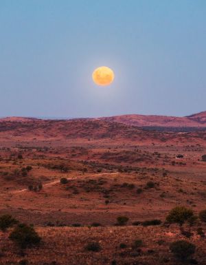 Outback hero