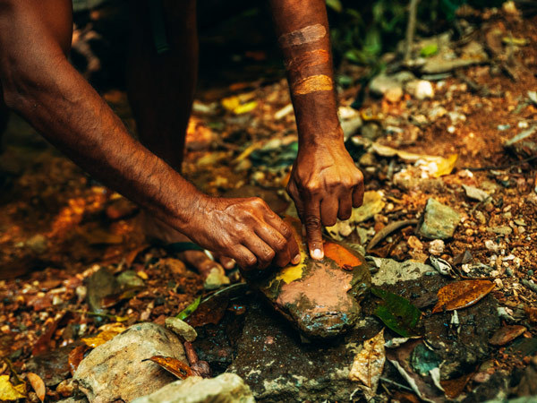 a Daintree tour with Walkabout Cultural Adventures