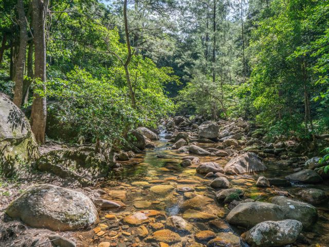 a stream in Macquarie Pass National Park