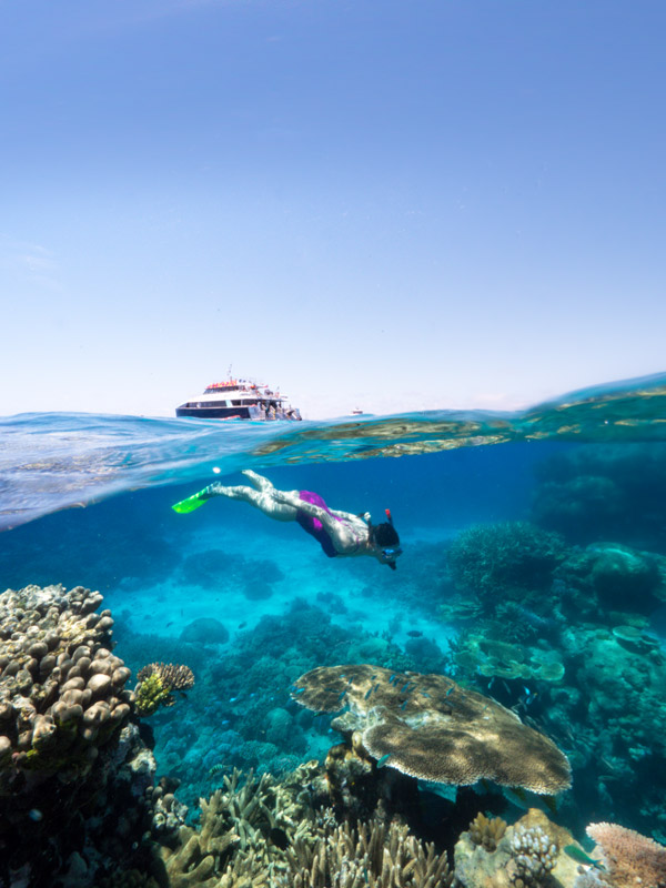 diving at the Great Barrier Reef with Dreamtime Dive & Snorkel