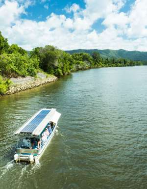a Crocodile Cruise River Tour on a Solar Whisper boat, Daintree River