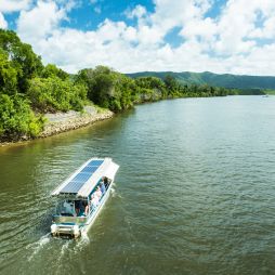 a Crocodile Cruise River Tour on a Solar Whisper boat, Daintree River