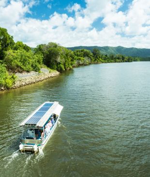 <p>Where to spot crocodiles in and around <strong>Port Douglas</strong></p>
